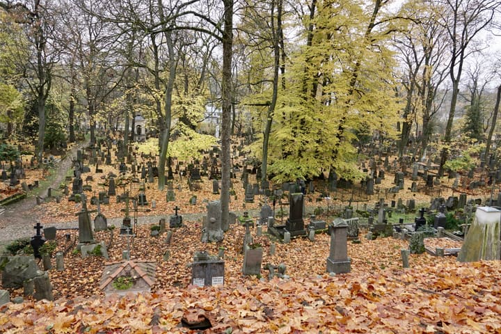 Kapinės